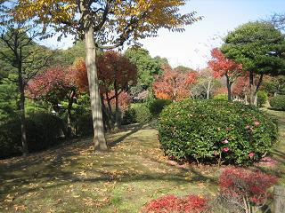f0148563_217341.jpg