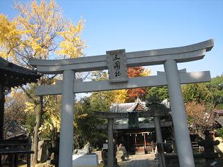 f0148563_2174672.jpg