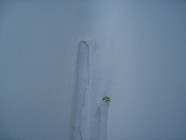 c0219866_18143662.jpg