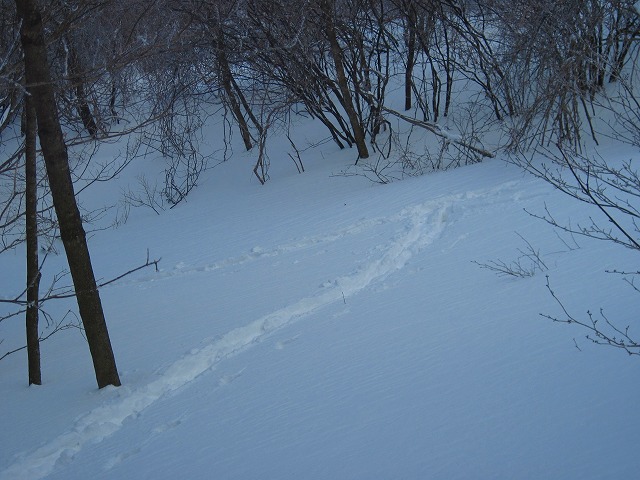 c0219866_18222483.jpg