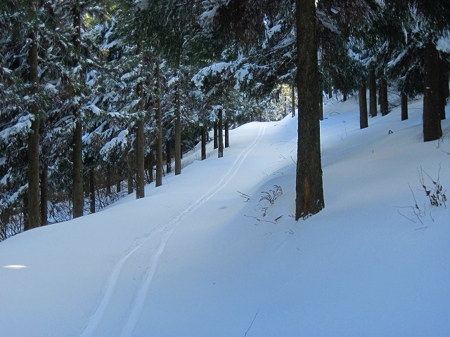 c0219866_18271593.jpg