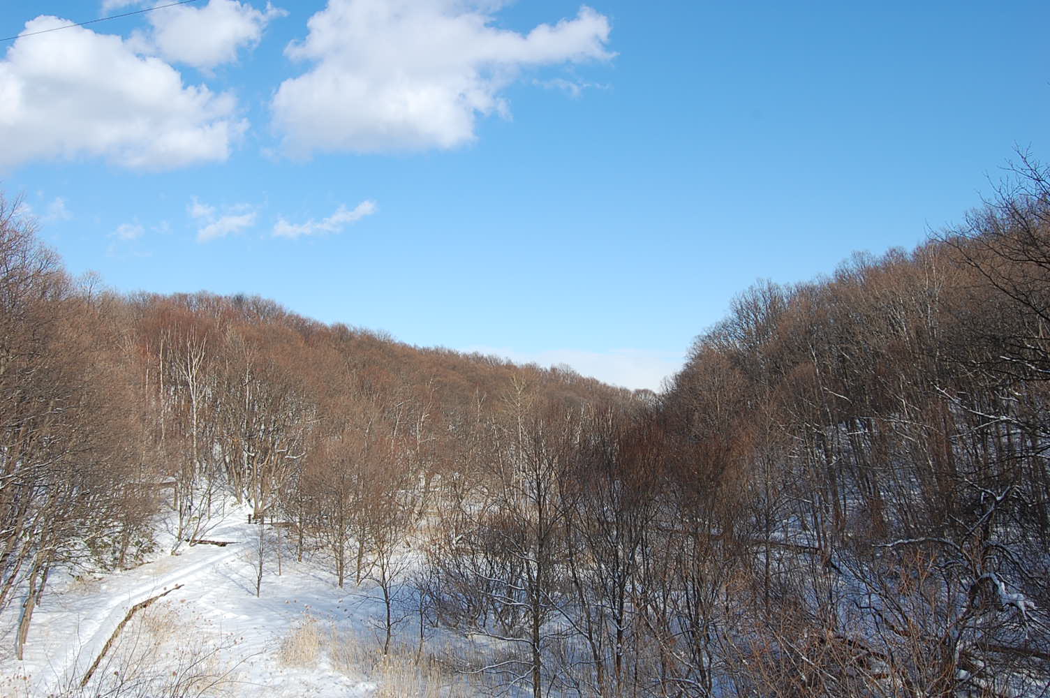 ふか〜い雪でした‘‘‘（汗）　　　2010　1／9_e0120466_23294958.jpg