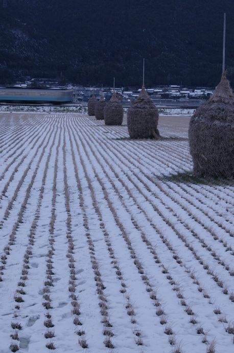 雪、上がりて④_e0152576_1692162.jpg