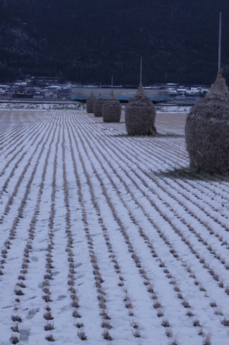 雪、上がりて④_e0152576_1695962.jpg