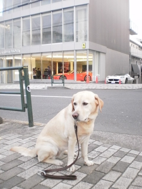 f0052277_23444.jpg