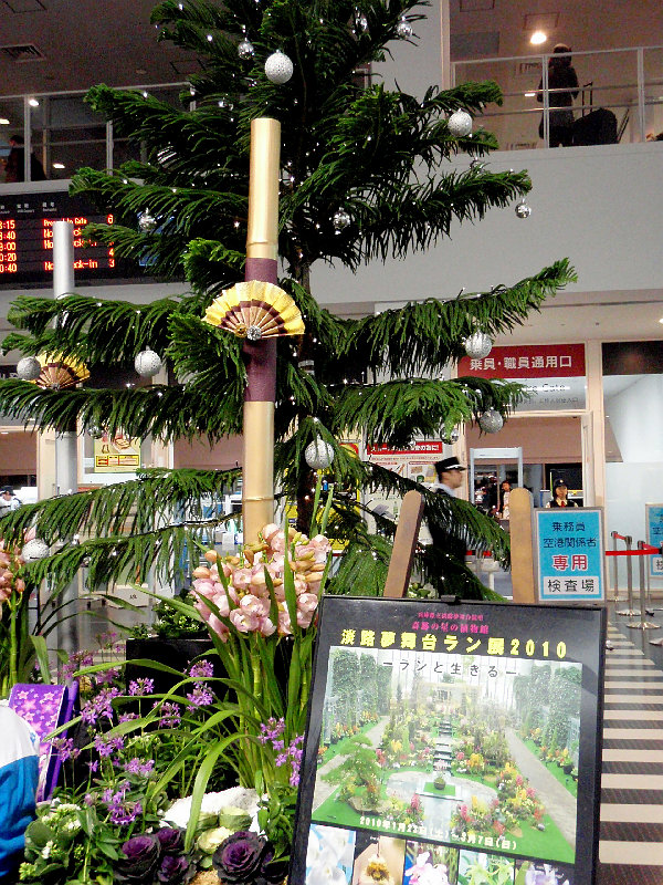 まったりほっこり年末年始の沖縄ー神戸空港から初スカイマーク 京都ときどき沖縄ところにより気まぐれ