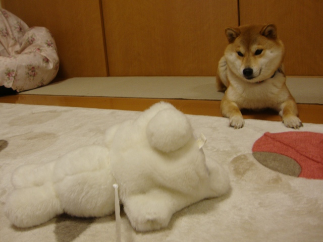 みんな、会いたかったよ!_a0126590_703973.jpg