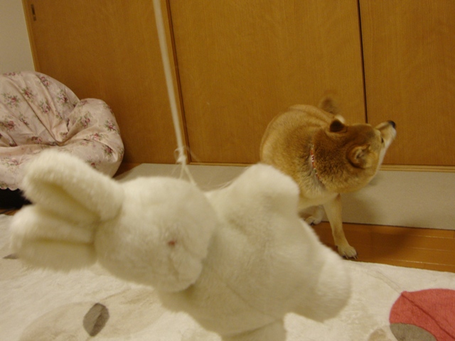 みんな、会いたかったよ!_a0126590_714533.jpg