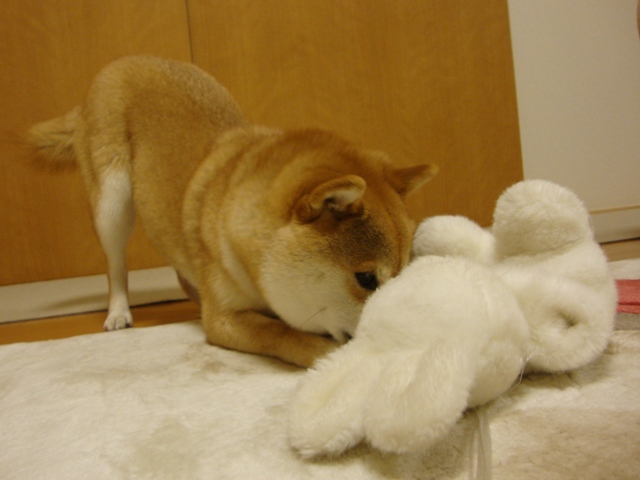 みんな、会いたかったよ!_a0126590_7195777.jpg