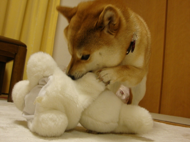 みんな、会いたかったよ!_a0126590_7205635.jpg