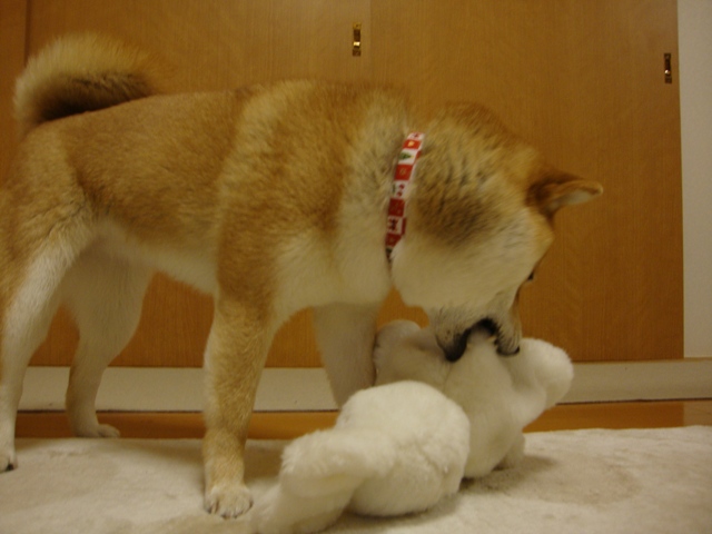 みんな、会いたかったよ!_a0126590_7214718.jpg