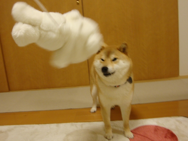 みんな、会いたかったよ!_a0126590_721914.jpg