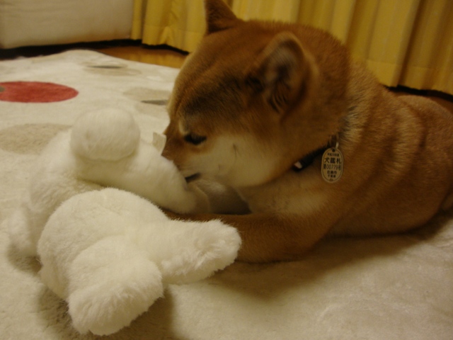 みんな、会いたかったよ!_a0126590_7224068.jpg