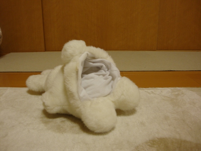 みんな、会いたかったよ!_a0126590_7225341.jpg