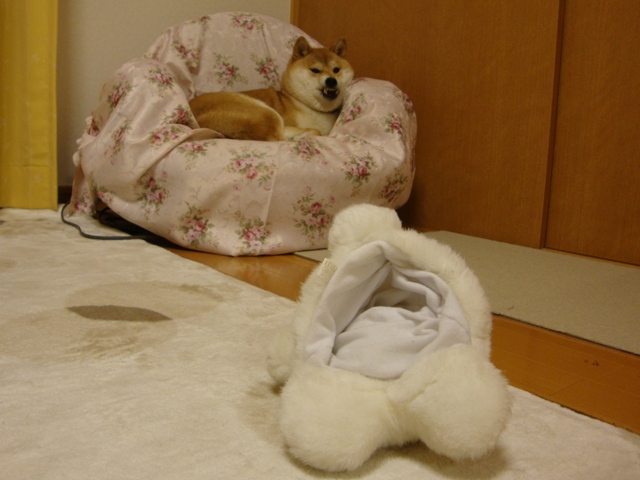 みんな、会いたかったよ!_a0126590_7231032.jpg