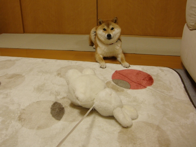 みんな、会いたかったよ!_a0126590_754731.jpg