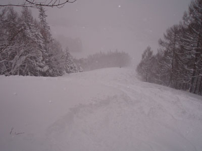 b0099190_0102916.jpg