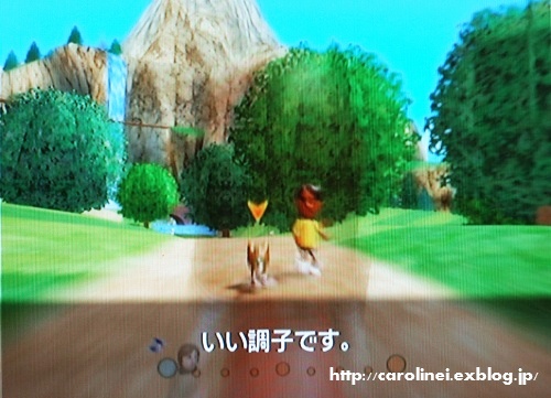 Wii、始めました(遅？）_d0025294_22201358.jpg