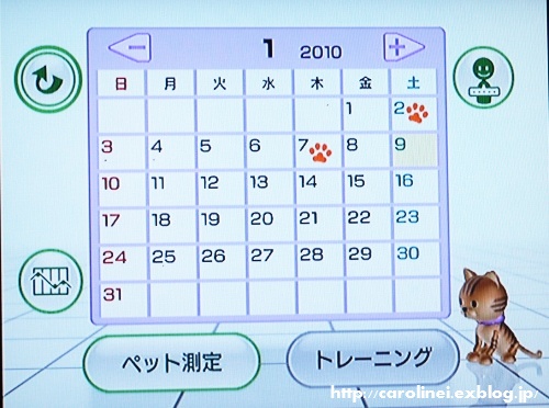 Wii、始めました(遅？）_d0025294_22201757.jpg