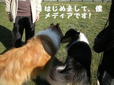 f0081100_0115828.jpg