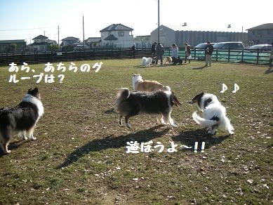 f0081100_073884.jpg