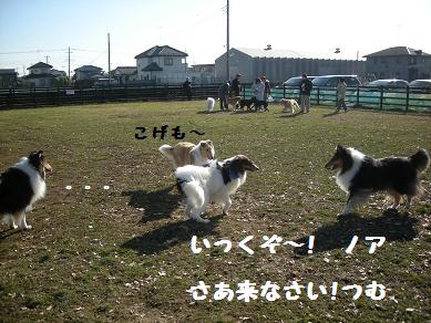 f0081100_075988.jpg