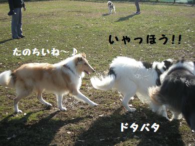 f0081100_085431.jpg