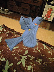 c0035001_114524.jpg
