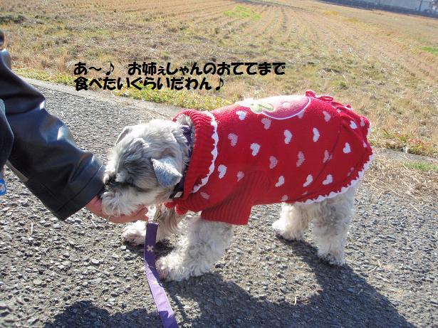 大阪で　新年会♪_c0098501_23292224.jpg