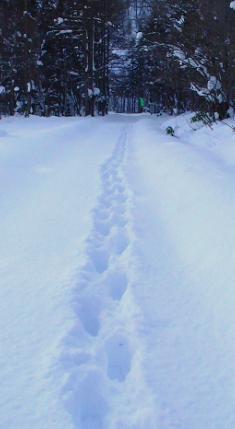 c0155902_21104469.jpg