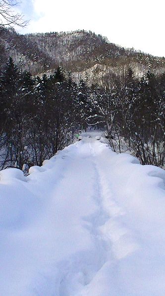 c0155902_21165514.jpg
