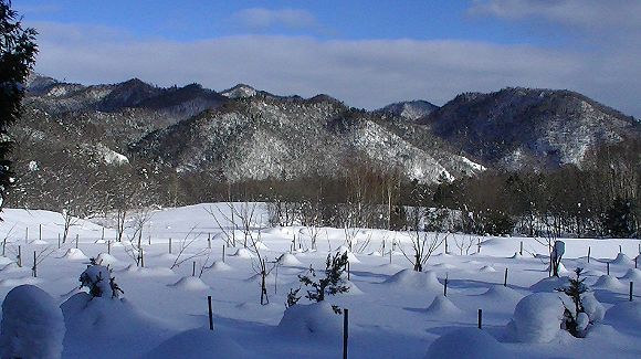 c0155902_2203532.jpg