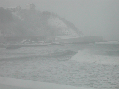 c0170208_1353433.jpg
