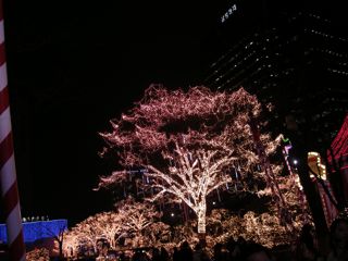 b0183911_23345840.jpg