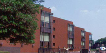 c0133013_926980.jpg