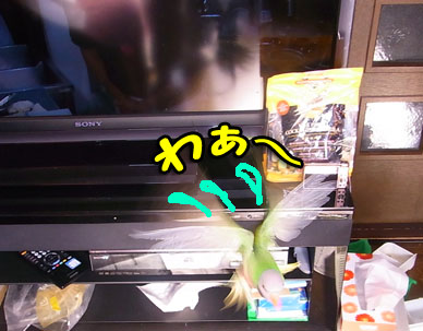 c0133013_9997.jpg