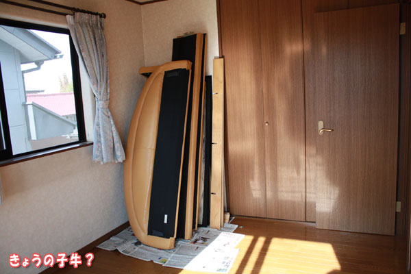f0203423_1651766.jpg