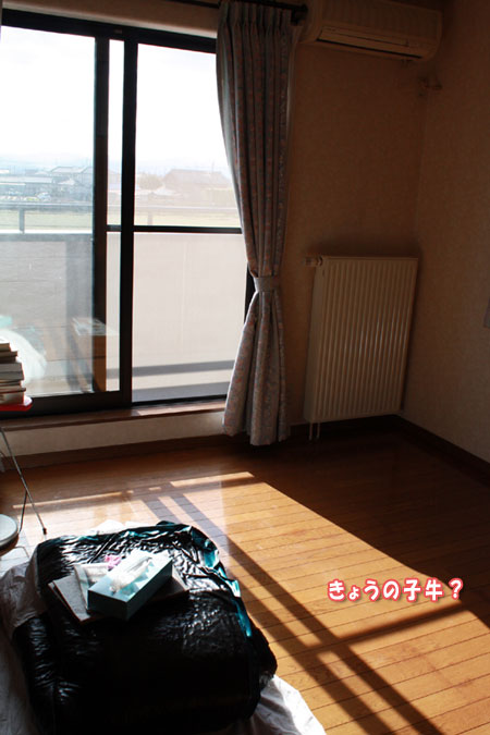 f0203423_16586.jpg