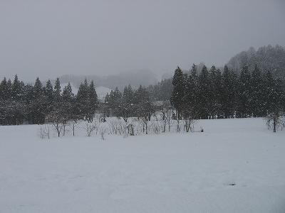 今日も湿った重たい雪が降っています_d0015124_1313857.jpg