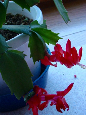 f0170524_2120111.jpg