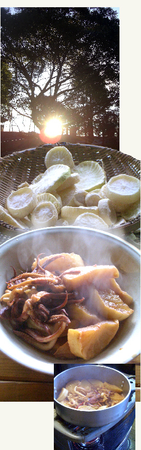 半干し大根とゲソの煮もの_d0043225_14433534.jpg