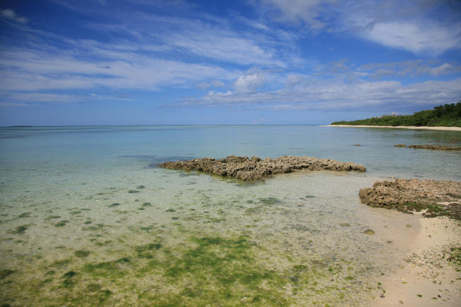 f0017530_20442669.jpg