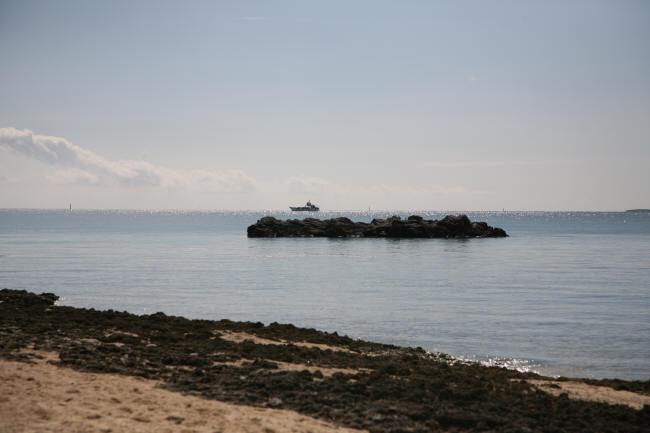 f0017530_20444847.jpg