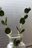 c0197631_81181.jpg