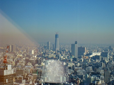 a0055835_16235826.jpg