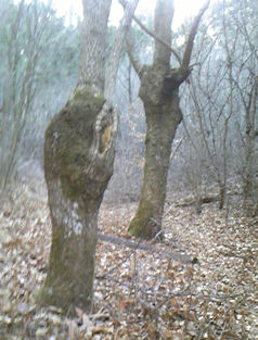 f0161535_17331988.jpg