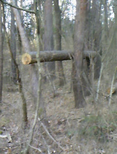 f0161535_17354356.jpg