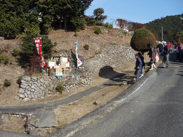 何十年ぶりに佐渡の祭りへ_c0010936_19453434.jpg