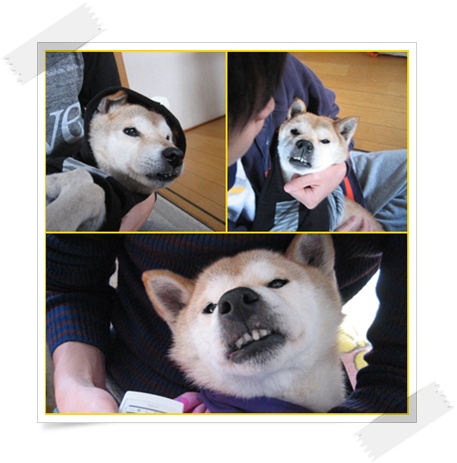 抱きぐせ_c0049950_17342878.jpg