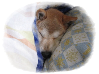 抱きぐせ_c0049950_1881894.jpg